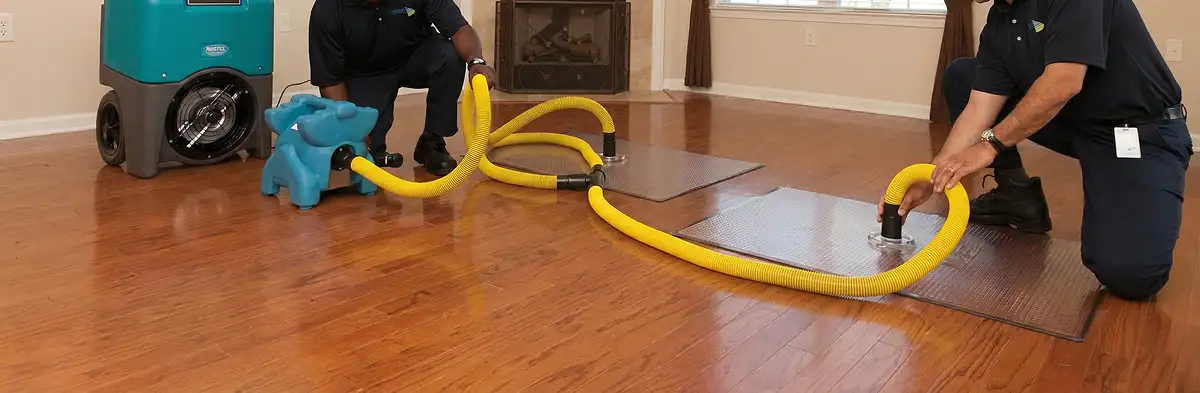 emergency water removal technicians extracting standing water from a home using professional equipment in Chandler, AZ